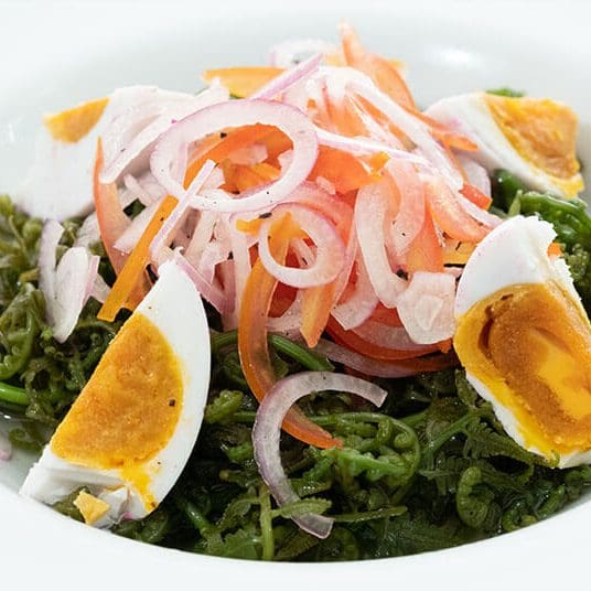 Paco Fern with Tomato Salad